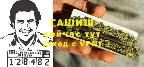 spice Богородск