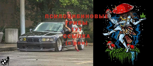 spice Богородск