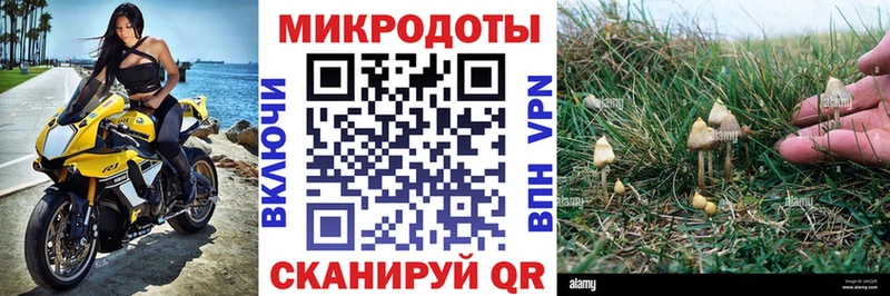 Галлюциногенные грибы Psilocybine cubensis  маркетплейс клад  Берёзовский 